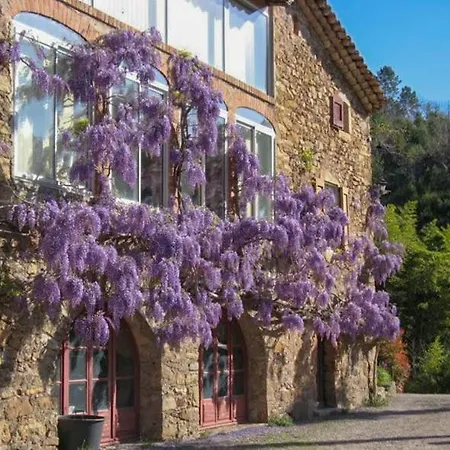 D'hote Mas D'alzon A St Jean Du Pin Bed & Breakfast La Barriére