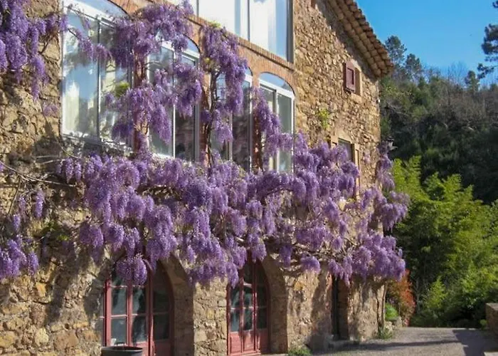 D'hote Mas D'alzon A St Jean Du Pin לינה וארוחת בוקר La Barriére